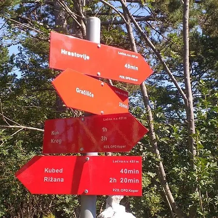 Апартаменты Beautiful *