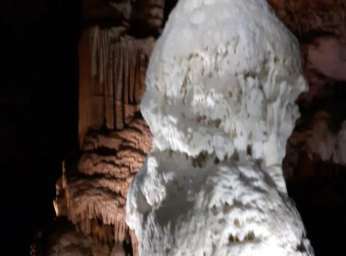 Beautiful Lejlighed *